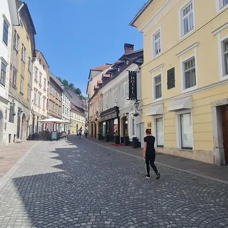 Διαμέρισμα Vintage Charm Λιουμπλιάνα