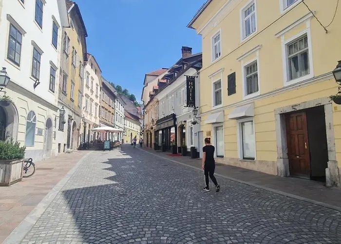 Apartamento Vintage Charm Liubliana